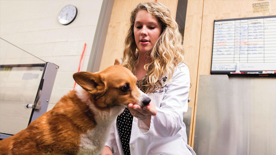oregon state veterinary student with dog