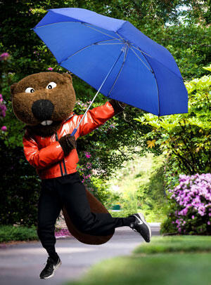 Benny holding an umbrella walking on sidewalk with greenery and flowers