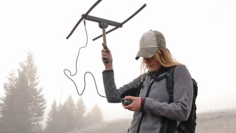 student conducting research in the field