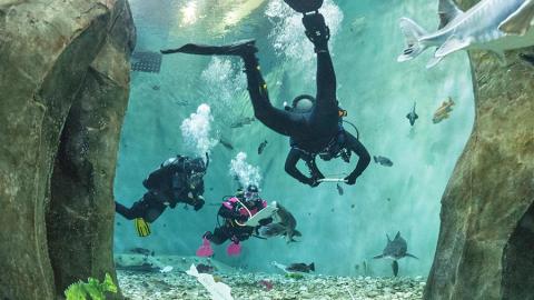 students scuba diving at aquarium